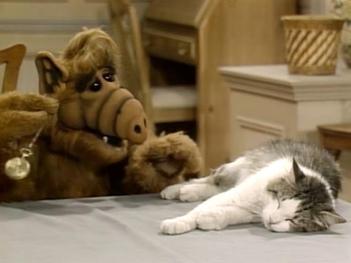 Lo que siempre nos preguntamos sobre Melmac, el planeta de Alf; ¿Por qué había gatos allí? - Sobre Aliens